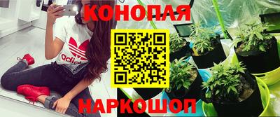 ALPHA-PVP Анжеро-Судженск