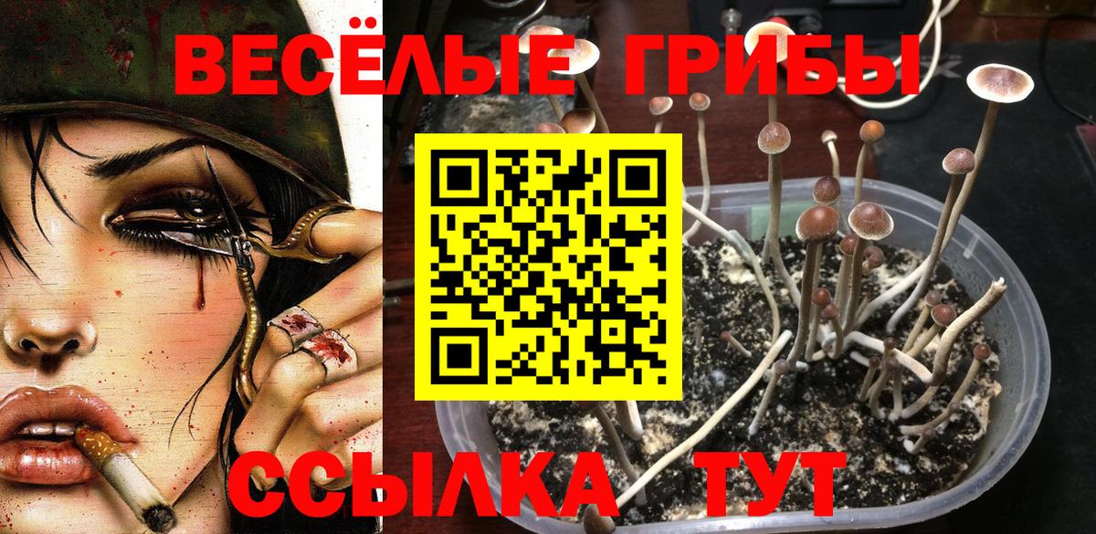 Псилоцибиновые грибы Cubensis  Вход с VPN  Галлюциногенные грибы Psilocybe  Богородицк 