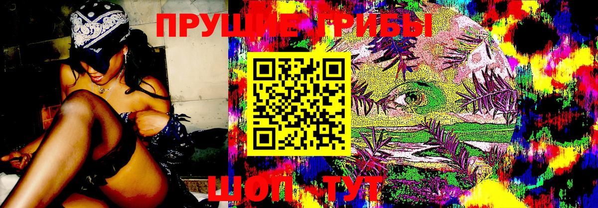 Псилоцибиновые грибы Psilocybine cubensis Богородицк